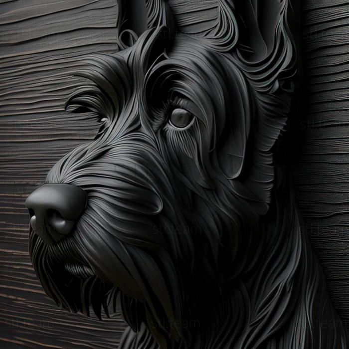 Animals Black Terrier dog